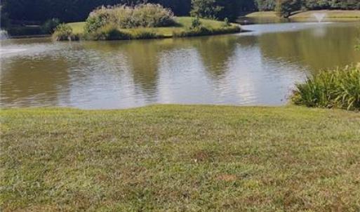 Pond Behind Property