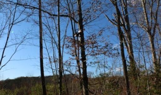 Photo #7 of Thore, Quaker Gap, NC 10.8 acres