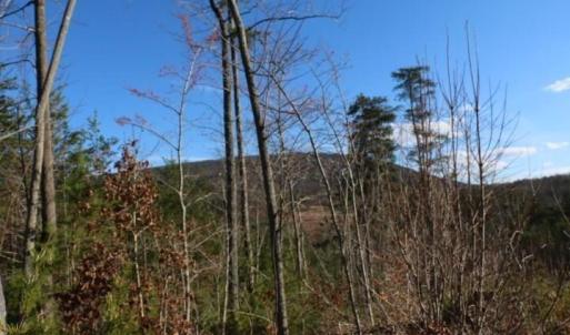 Photo #5 of Thore, Quaker Gap, NC 10.8 acres