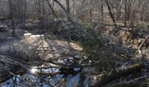 Photo #11 of Thore, Quaker Gap, NC 10.8 acres