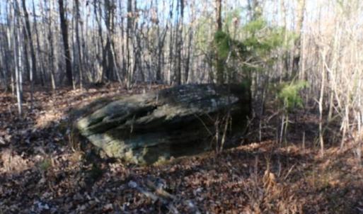 Photo #8 of Thore, Quaker Gap, NC 10.8 acres