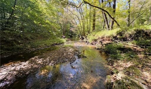 Photo #23 of 29.46 AC Steele, Sandy Ridge, NC 29.5 acres