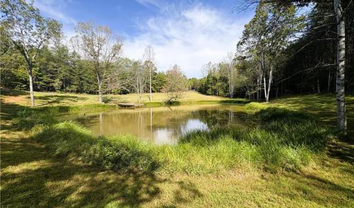 Photo #13 of 29.46 AC Steele, Sandy Ridge, NC 29.5 acres