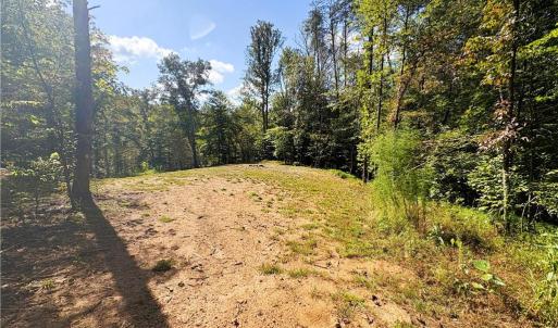 Photo #17 of 29.46 AC Steele, Sandy Ridge, NC 29.5 acres