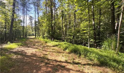 Photo #16 of 29.46 AC Steele, Sandy Ridge, NC 29.5 acres