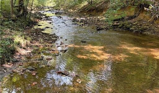 Photo #26 of 29.46 AC Steele, Sandy Ridge, NC 29.5 acres