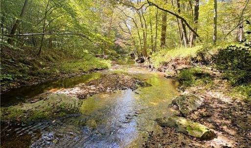 Photo #22 of 29.46 AC Steele, Sandy Ridge, NC 29.5 acres