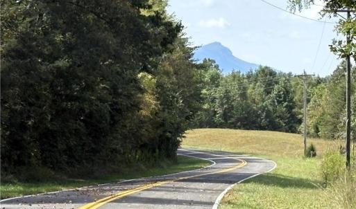 Photo #7 of 29.46 AC Steele, Sandy Ridge, NC 29.5 acres