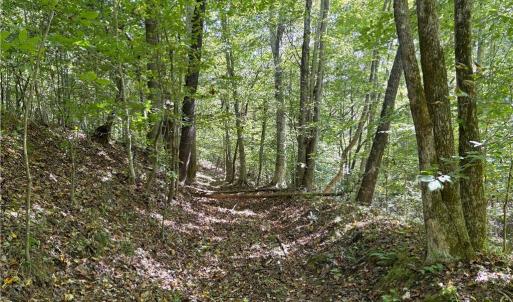 Photo #36 of 29.46 AC Steele, Sandy Ridge, NC 29.5 acres