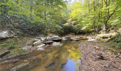 Photo #32 of 29.46 AC Steele, Sandy Ridge, NC 29.5 acres
