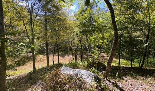 Photo #20 of 29.46 AC Steele, Sandy Ridge, NC 29.5 acres