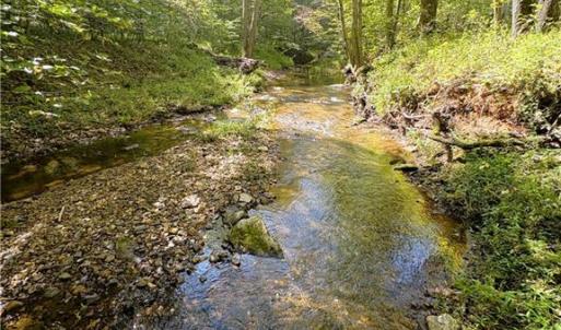 Photo #24 of 29.46 AC Steele, Sandy Ridge, NC 29.5 acres