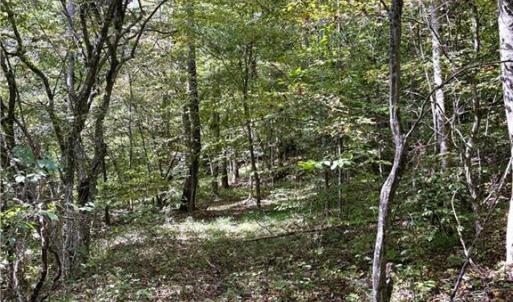 Photo #30 of 29.46 AC Steele, Sandy Ridge, NC 29.5 acres