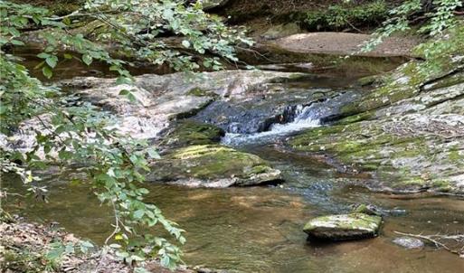 Photo #33 of 29.46 AC Steele, Sandy Ridge, NC 29.5 acres