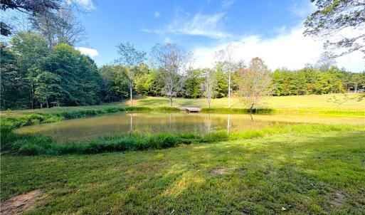 Photo #14 of 29.46 AC Steele, Sandy Ridge, NC 29.5 acres