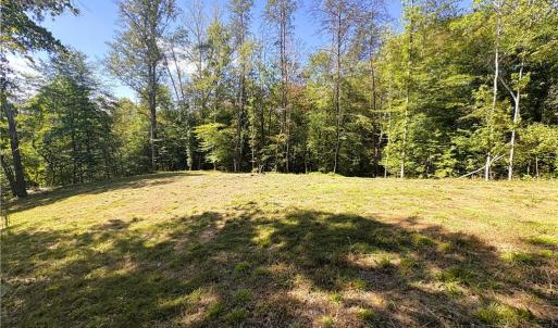 Photo #18 of 29.46 AC Steele, Sandy Ridge, NC 29.5 acres