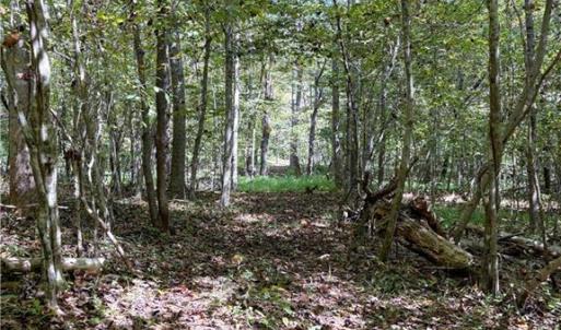 Photo #37 of 29.46 AC Steele, Sandy Ridge, NC 29.5 acres
