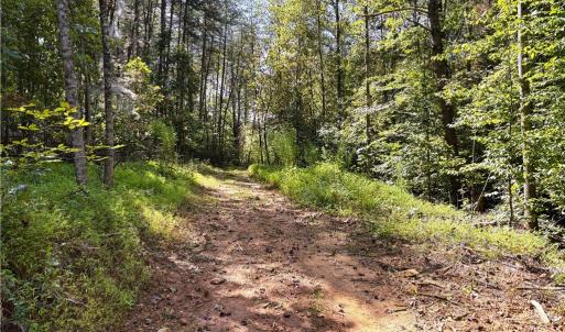 Photo #15 of 29.46 AC Steele, Sandy Ridge, NC 29.5 acres