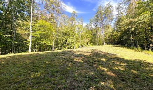 Photo #19 of 29.46 AC Steele, Sandy Ridge, NC 29.5 acres