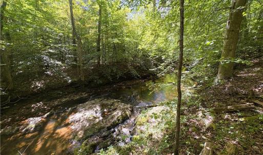 Photo #31 of 29.46 AC Steele, Sandy Ridge, NC 29.5 acres