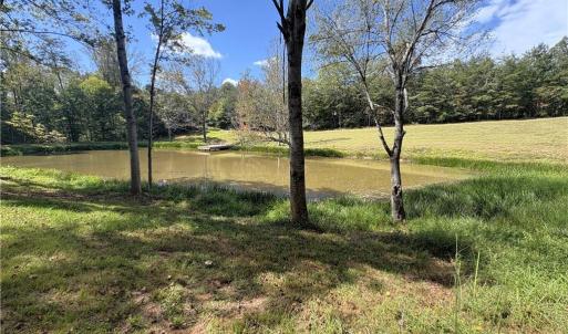 Photo #39 of 29.46 AC Steele, Sandy Ridge, NC 29.5 acres