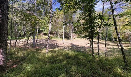 Photo #25 of 29.46 AC Steele, Sandy Ridge, NC 29.5 acres