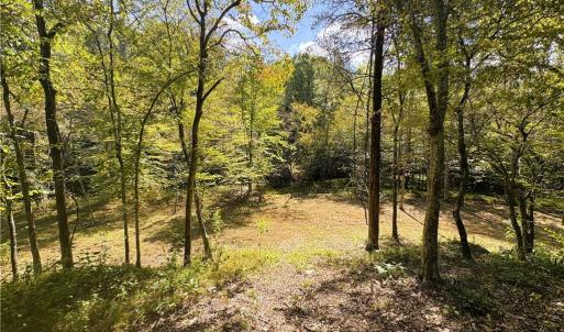 Photo #21 of 29.46 AC Steele, Sandy Ridge, NC 29.5 acres