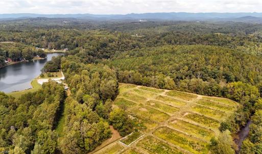 Photo #6 of Wildlife, Mount Airy, NC 28.0 acres