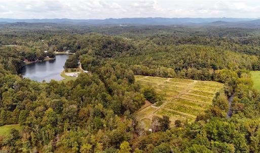 Photo #3 of Wildlife, Mount Airy, NC 28.0 acres