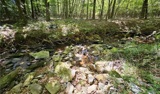 Photo #17 of Old Mill, Pinnacle, NC 21.5 acres