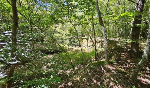 Photo #22 of Old Mill, Pinnacle, NC 21.5 acres