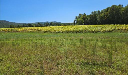 Photo #7 of Old Mill, Pinnacle, NC 21.5 acres
