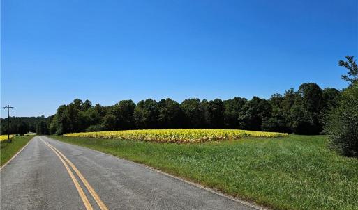 Photo #3 of Old Mill, Pinnacle, NC 21.5 acres