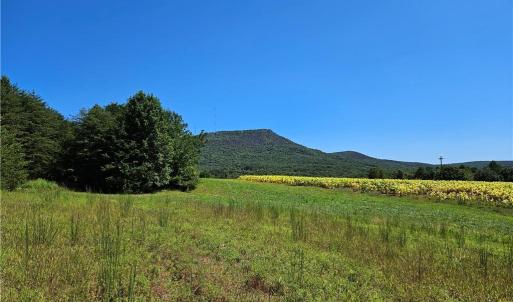 Photo #1 of Old Mill, Pinnacle, NC 21.5 acres