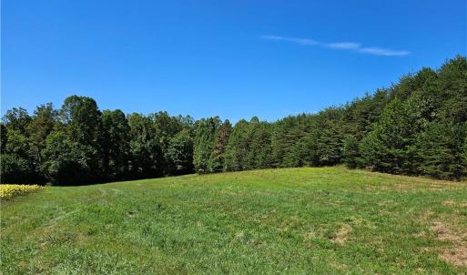 Photo #5 of Old Mill, Pinnacle, NC 21.5 acres