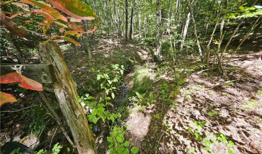 Photo #20 of Old Mill, Pinnacle, NC 21.5 acres