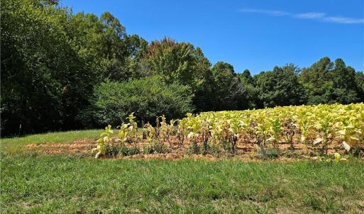 Photo #10 of Old Mill, Pinnacle, NC 21.5 acres