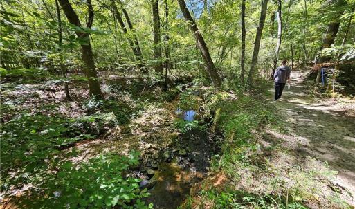 Photo #18 of Old Mill, Pinnacle, NC 21.5 acres
