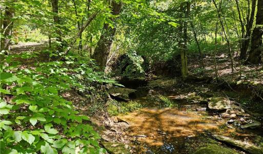 Photo #15 of Old Mill, Pinnacle, NC 21.5 acres