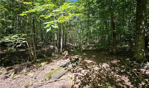 Photo #19 of Old Mill, Pinnacle, NC 21.5 acres