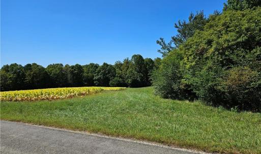 Photo #4 of Old Mill, Pinnacle, NC 21.5 acres