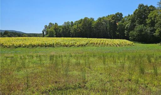 Photo #8 of Old Mill, Pinnacle, NC 21.5 acres