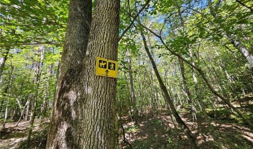 Photo #21 of Old Mill, Pinnacle, NC 21.5 acres