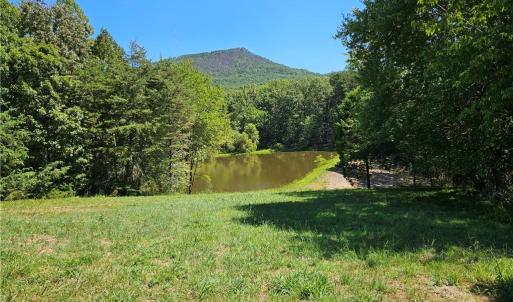 Photo #23 of Old Mill, Pinnacle, NC 29.3 acres