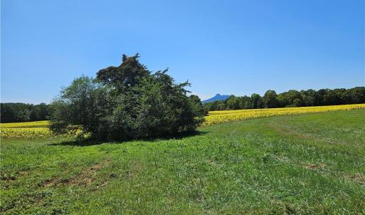 Photo #27 of Old Mill, Pinnacle, NC 29.3 acres