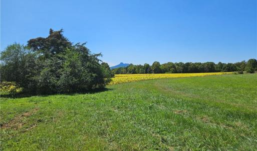 Photo #26 of Old Mill, Pinnacle, NC 29.3 acres