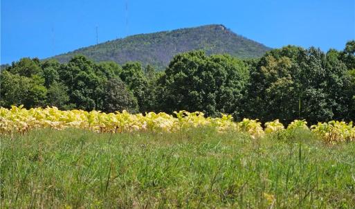 Photo #1 of Old Mill, Pinnacle, NC 29.3 acres