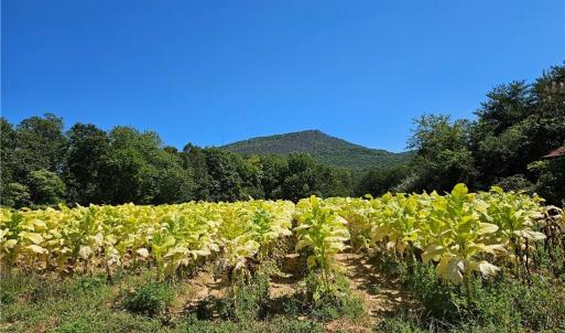 Photo #28 of Old Mill, Pinnacle, NC 29.3 acres