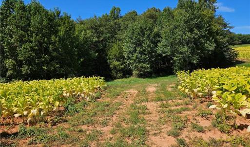 Photo #20 of Old Mill, Pinnacle, NC 29.3 acres