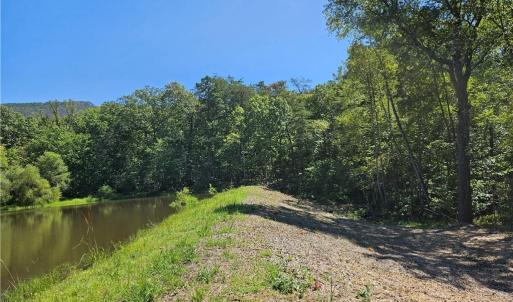 Photo #24 of Old Mill, Pinnacle, NC 29.3 acres